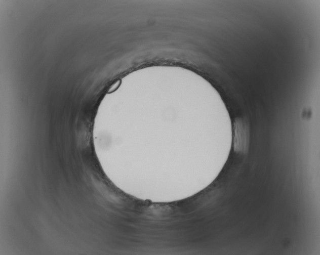 X0000113211491200910081303