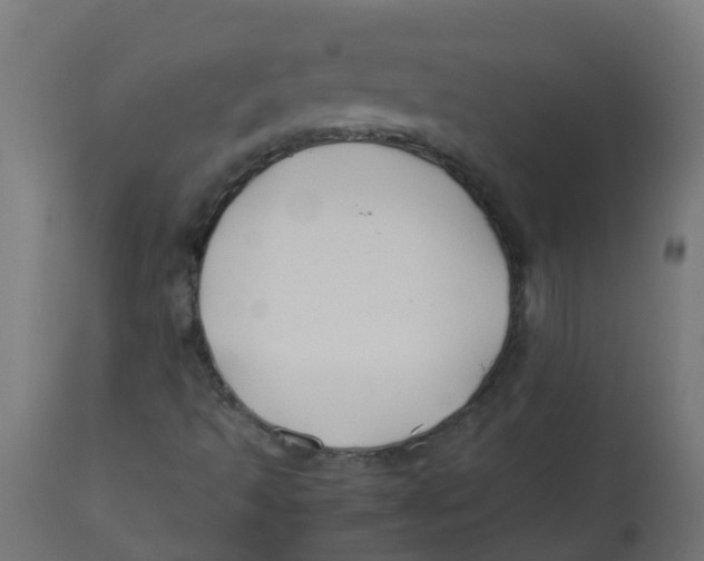 X0000113211493200910081303