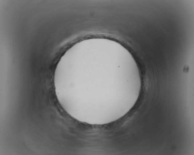 X0000113211494200910081303