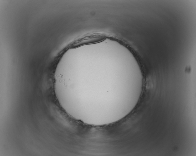 X0000113211496200910081303