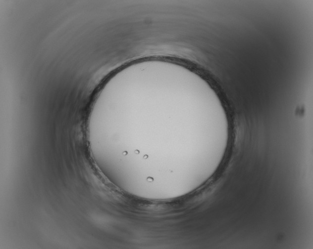 X0000113211497200910081303