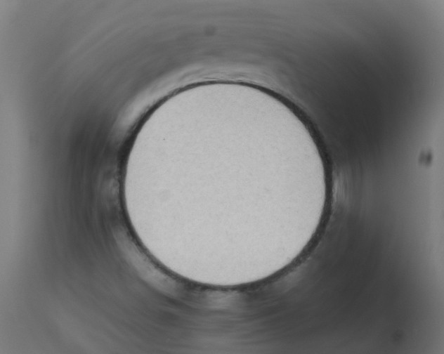 X0000113211498200910081303