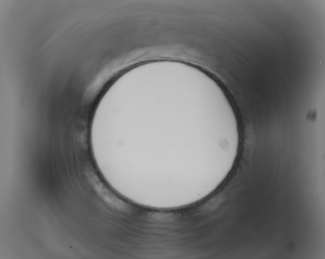 X0000113211499200910081303