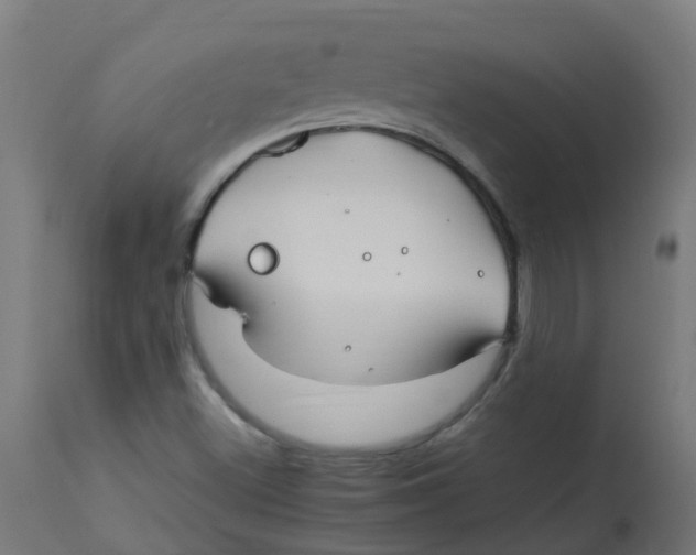 X0000113211500200910081303