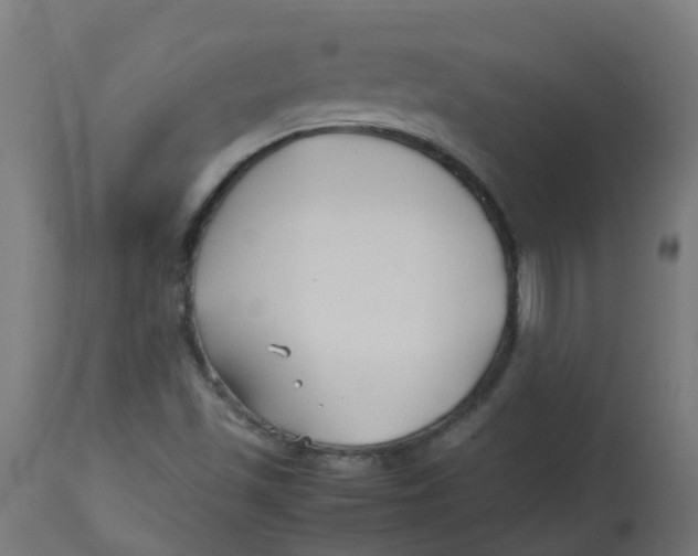 X0000113211501200910081303