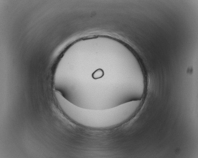 X0000113211502200910081303