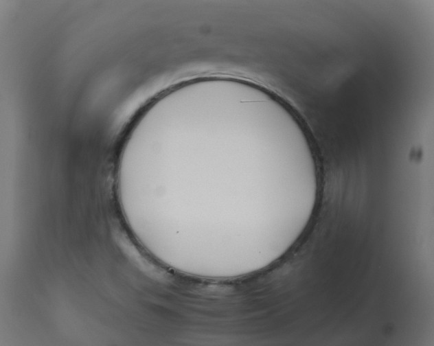 X0000113211503200910081303