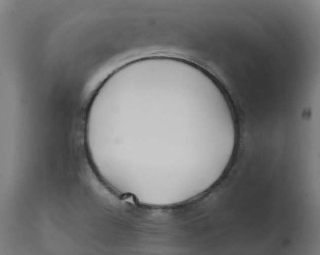 X0000113211504200910081303