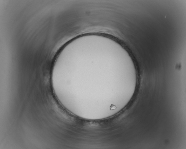 X0000113211505200910081303