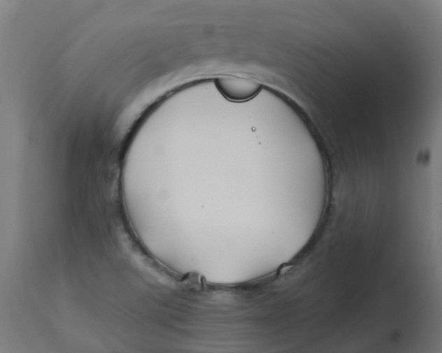 X0000113211507200910081303