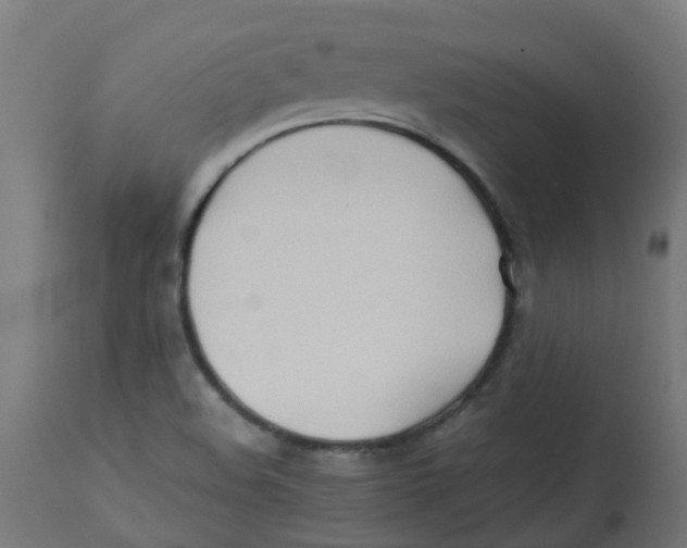 X0000113211508200910081303