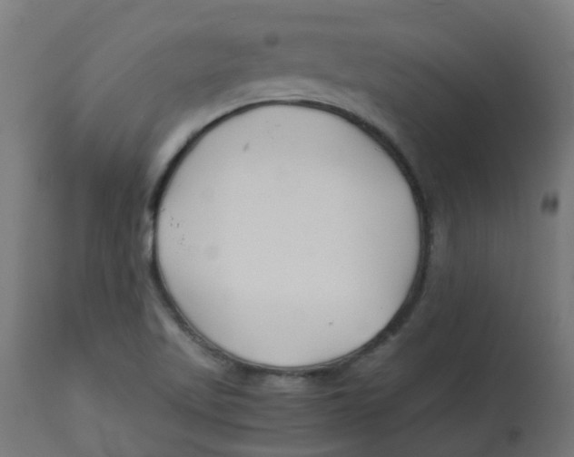 X0000113211509200910081303