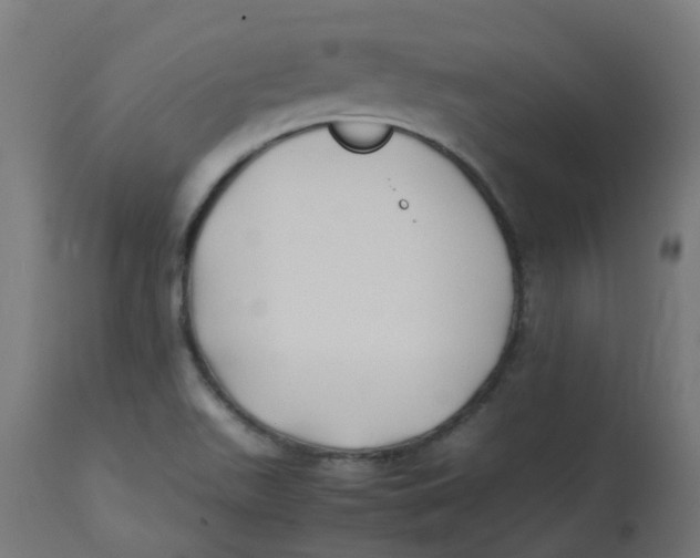 X0000113211511200910081303