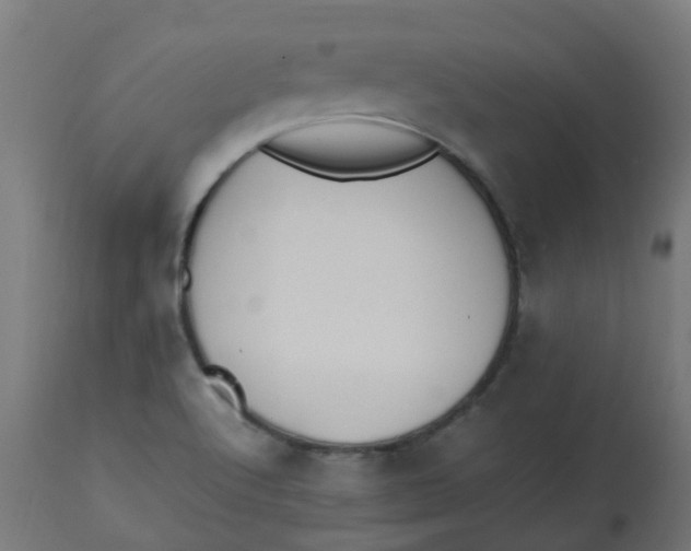 X0000113211512200910081303