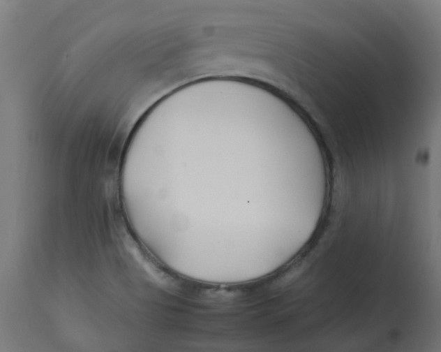 X0000113211513200910081303