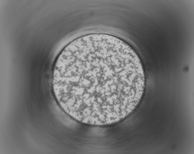 X0000113211514200910081303