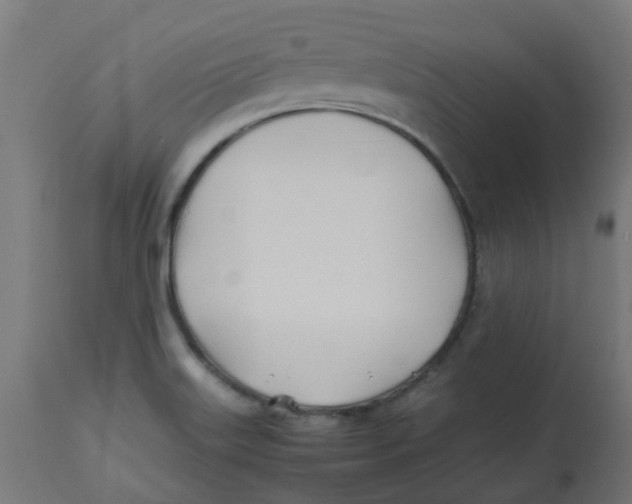 X0000113211515200910081303