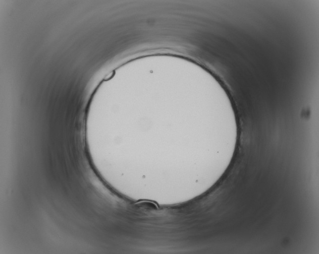 X0000113211516200910081303