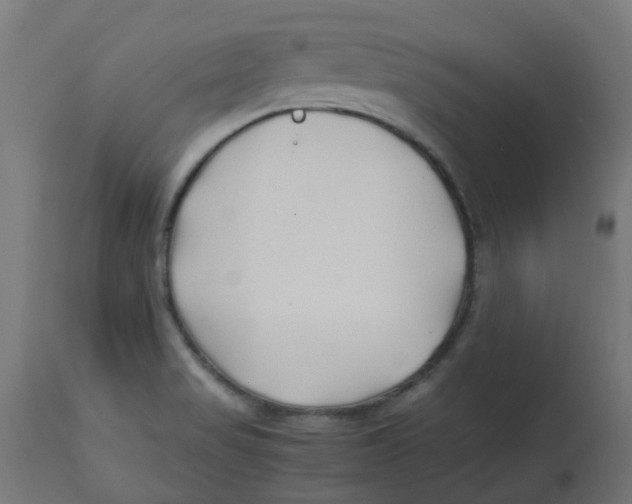 X0000113211517200910081303