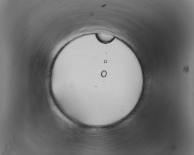 X0000113211518200910081303