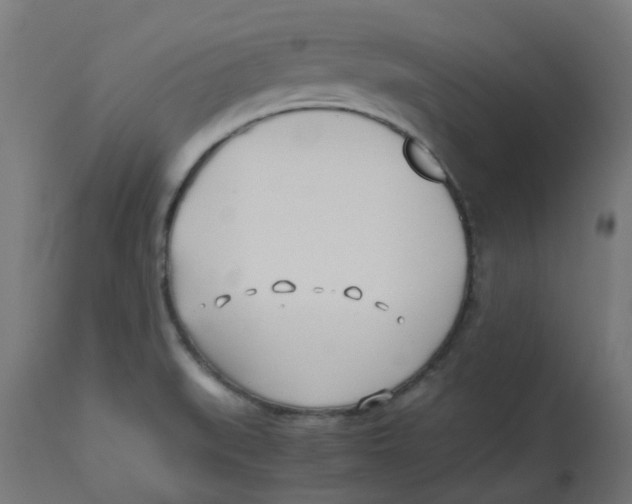 X0000113211519200910081303