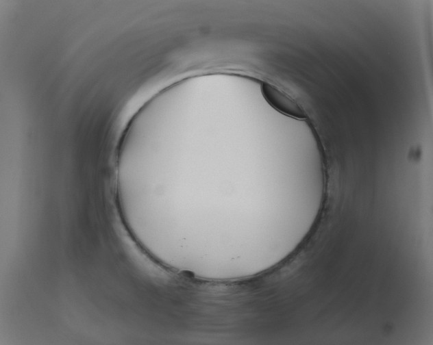 X0000113211520200910081304