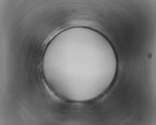 X0000113211521200910081304