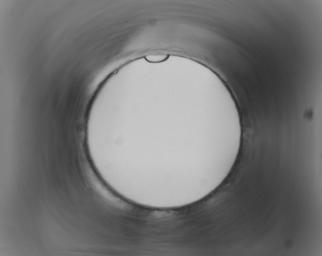 X0000113211523200910081304