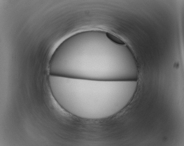 X0000113211524200910081304