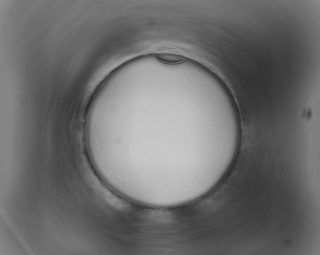 X0000113211525200910081304