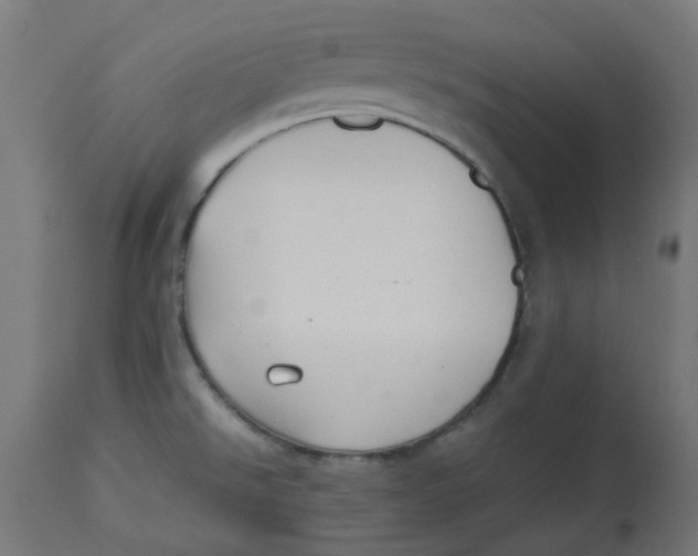 X0000113211526200910081304