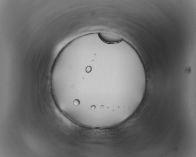 X0000113211527200910081304