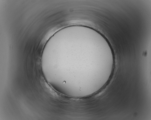 X0000113211529200910081304