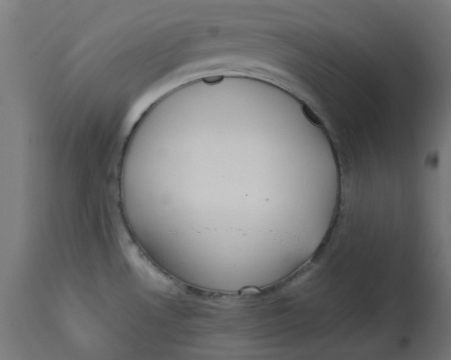 X0000113211530200910081304