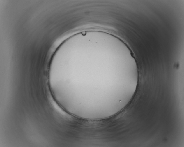 X0000113211531200910081304