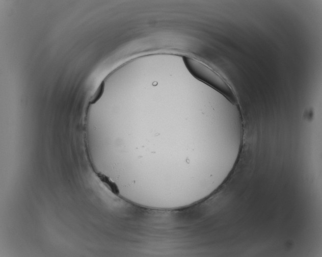 X0000113211532200910081304