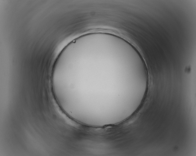 X0000113211533200910081304