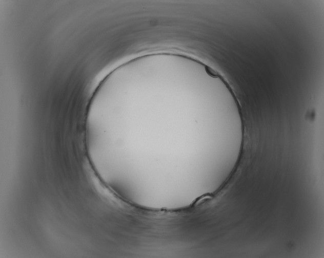 X0000113211534200910081304