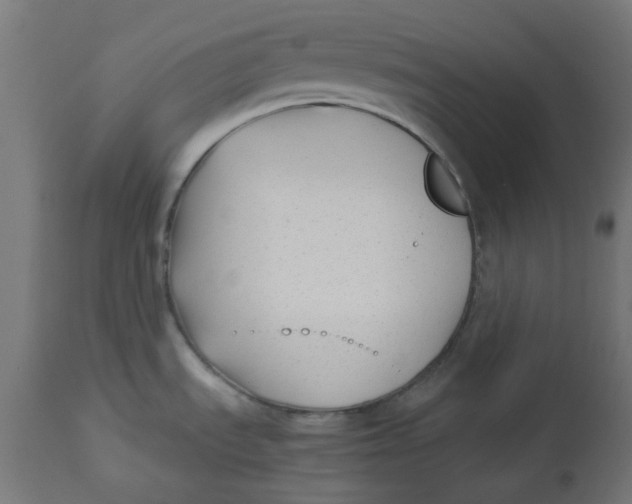 X0000113211535200910081304