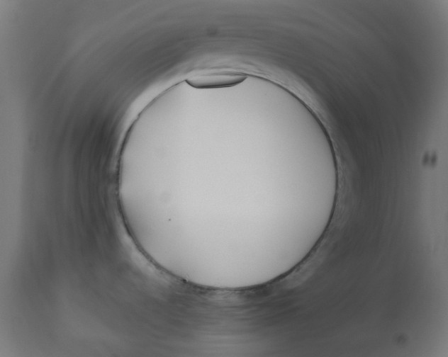 X0000113211536200910081304