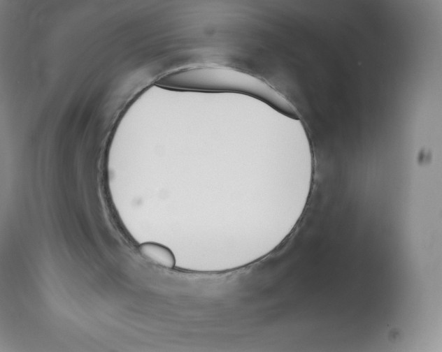 X0000113210001200910221113