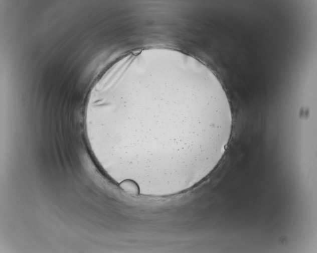 X0000113210002200910221113