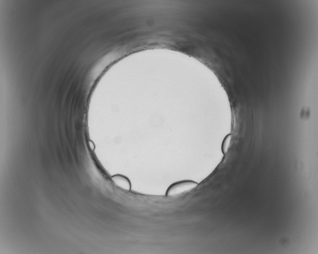 X0000113210003200910221113