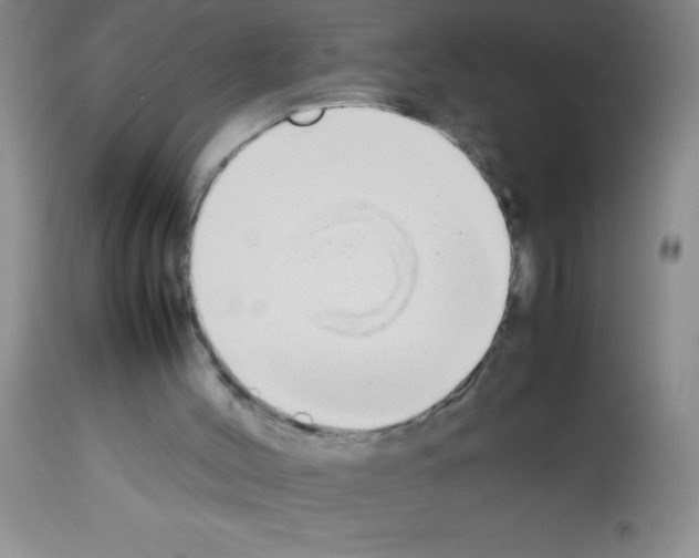 X0000113210004200910221113