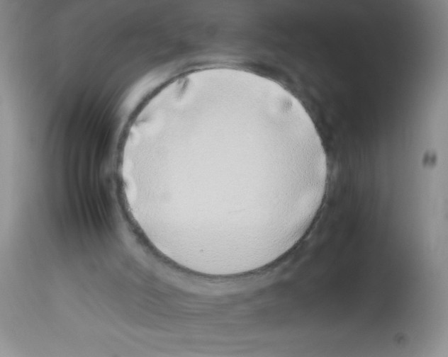 X0000113210006200910221113