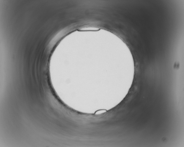 X0000113210007200910221113