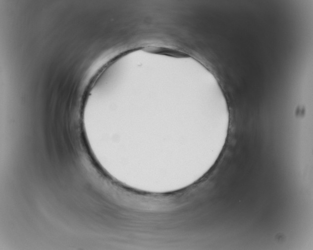 X0000113210008200910221113