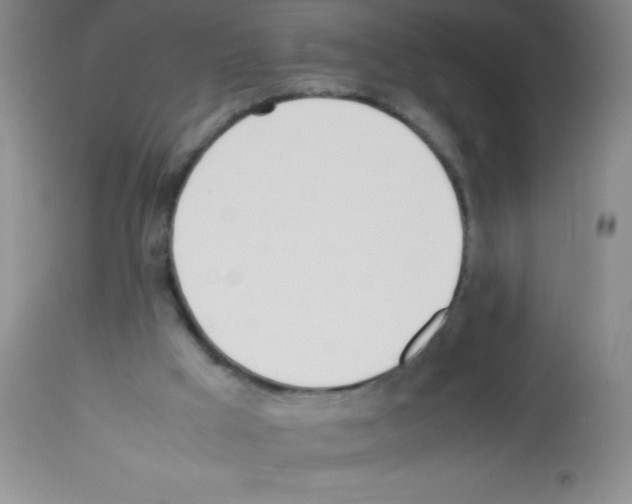 X0000113210009200910221113