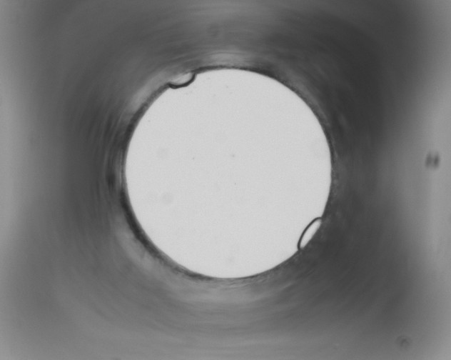 X0000113210011200910221113