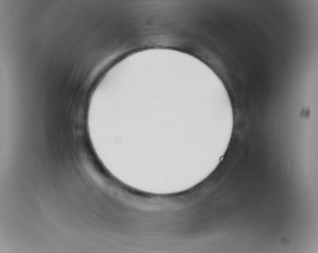 X0000113210012200910221113